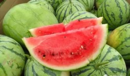 网红爆料仓今日吃瓜,仓今日吃瓜，揭秘娱乐圈最新热点