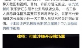 最新爆料许凯视频,神秘情节引热议，网友直呼剧情反转！